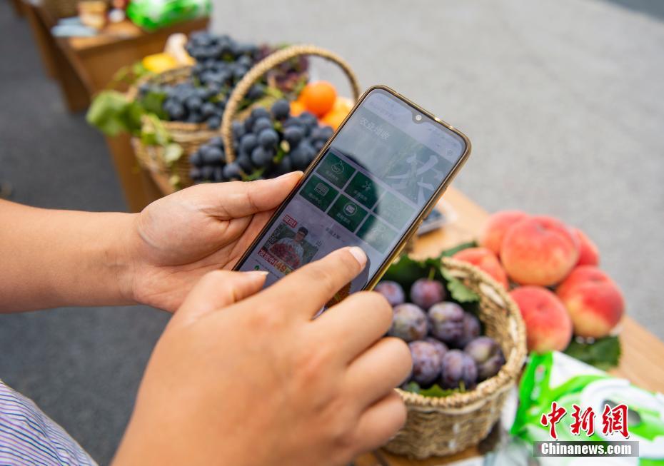 四川省眉山果園村で働く高學(xué)歴の「新型」職業(yè)農(nóng)民