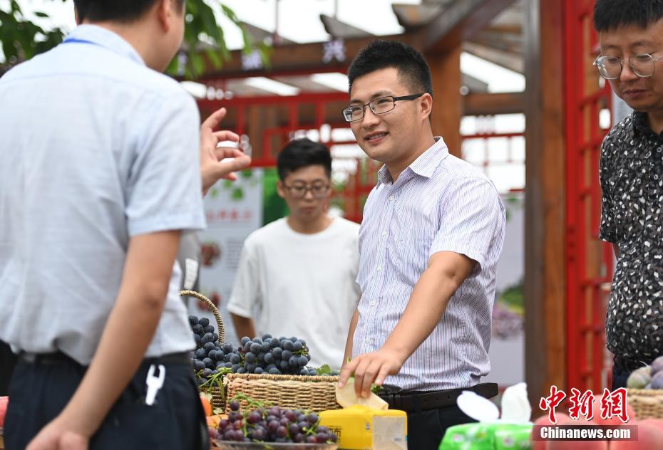 6月11日、四川省眉山市彭山區(qū)果園村で、地元特産品である果物について紹介する劉沈庁さん（寫(xiě)真右から2番目、撮影?侯宇）。