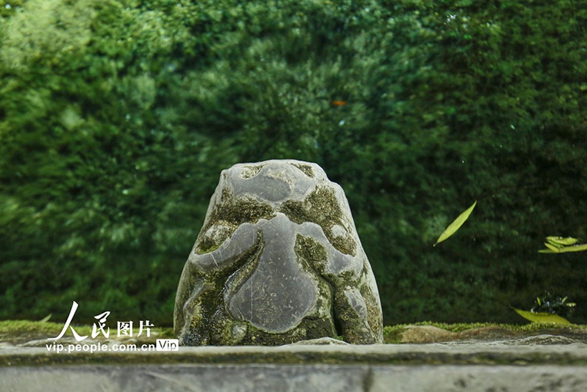 高溫と干ばつ続く済南で「黒虎泉」の湧き水が一時(shí)的に止まる事態(tài)　山東省