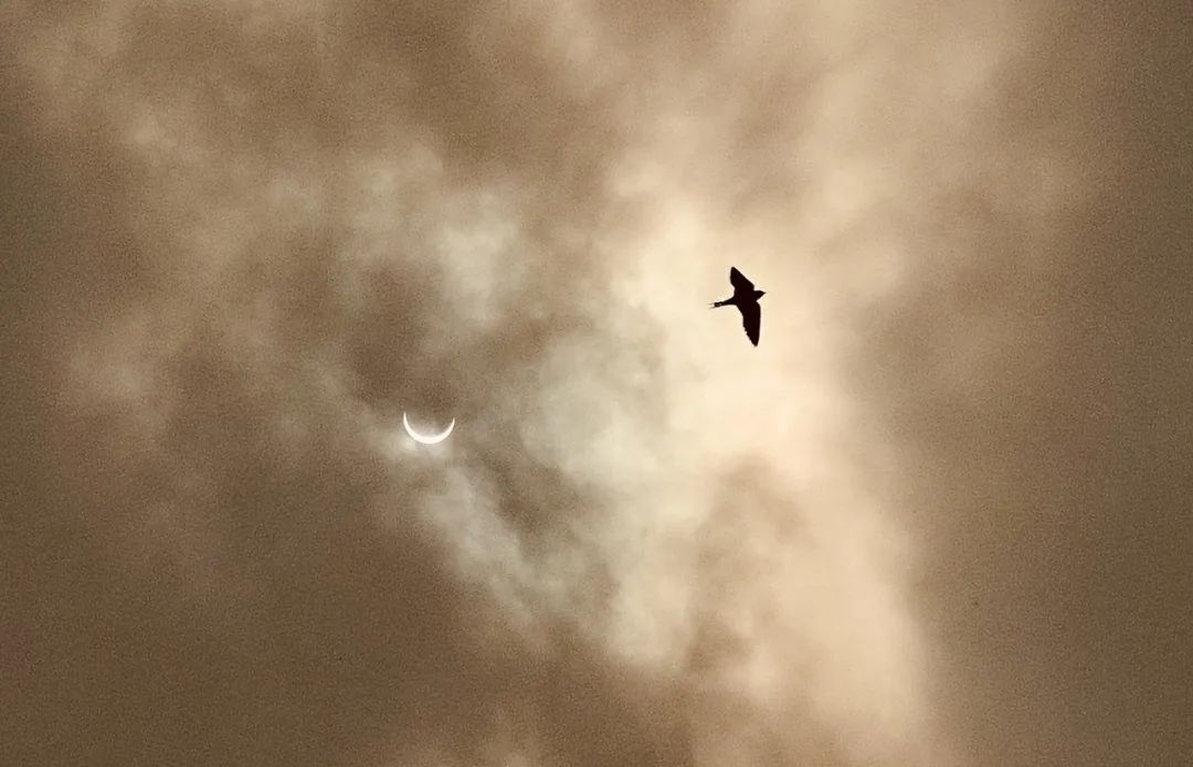 夏至の日に「金環(huán)日食」観測