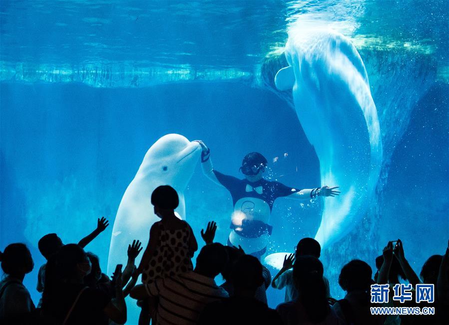 端午節(jié)連休初日 國(guó)內(nèi)観光客がのべ1700萬(wàn)人突破