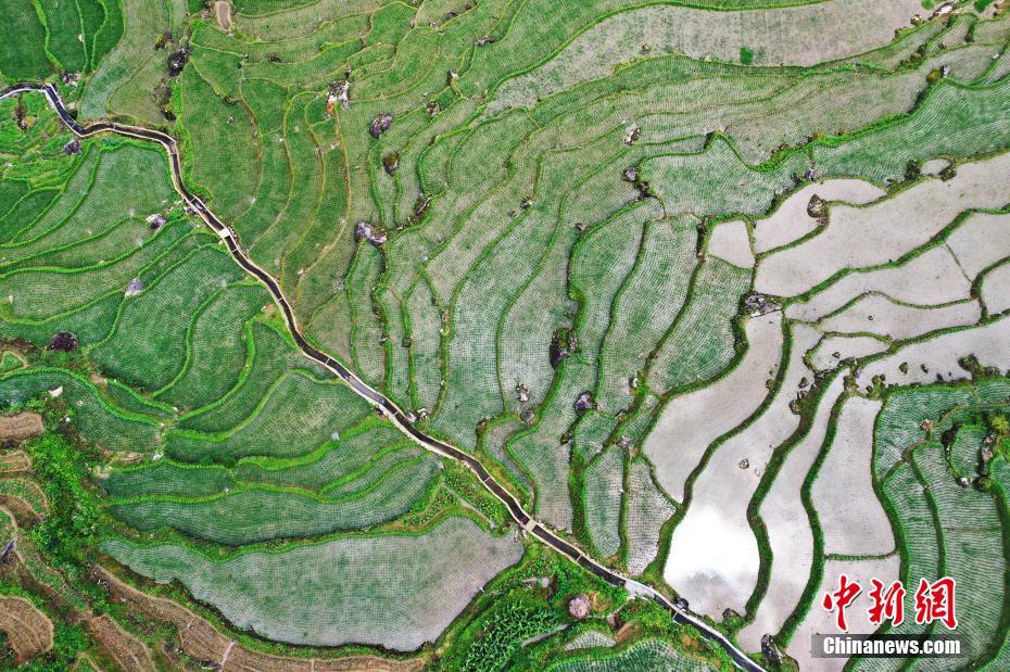 夏の美しい棚田を空撮　江西省