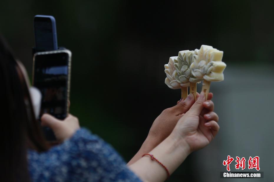 円明園でハスの花が満開　北京 