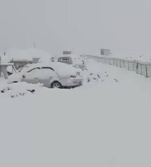 6月に30センチの積雪　新疆