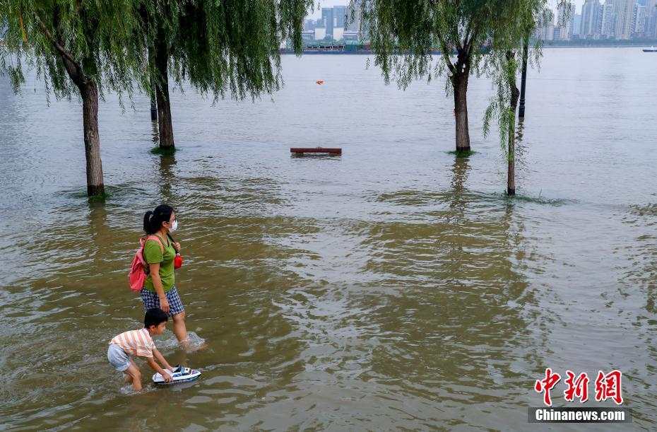 水位が引き続き上昇！武漢の長(zhǎng)江水位が警戒レベル超える　湖北省