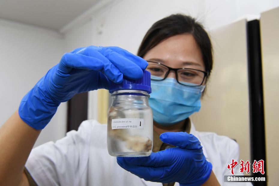 中國(guó)初のブレインバンク訪問 人の脳の謎の解明目指す