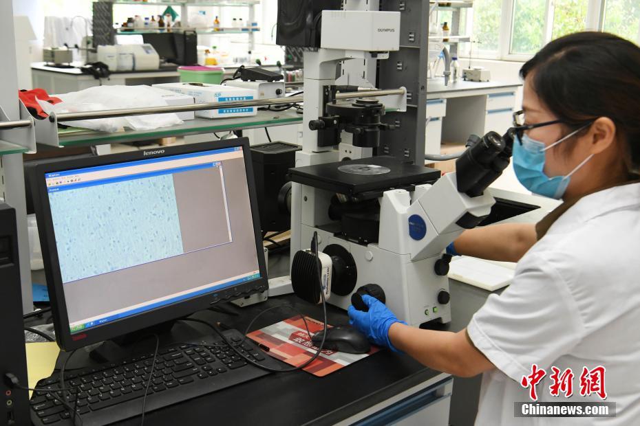 中國初のブレインバンク訪問 人の脳の謎の解明目指す