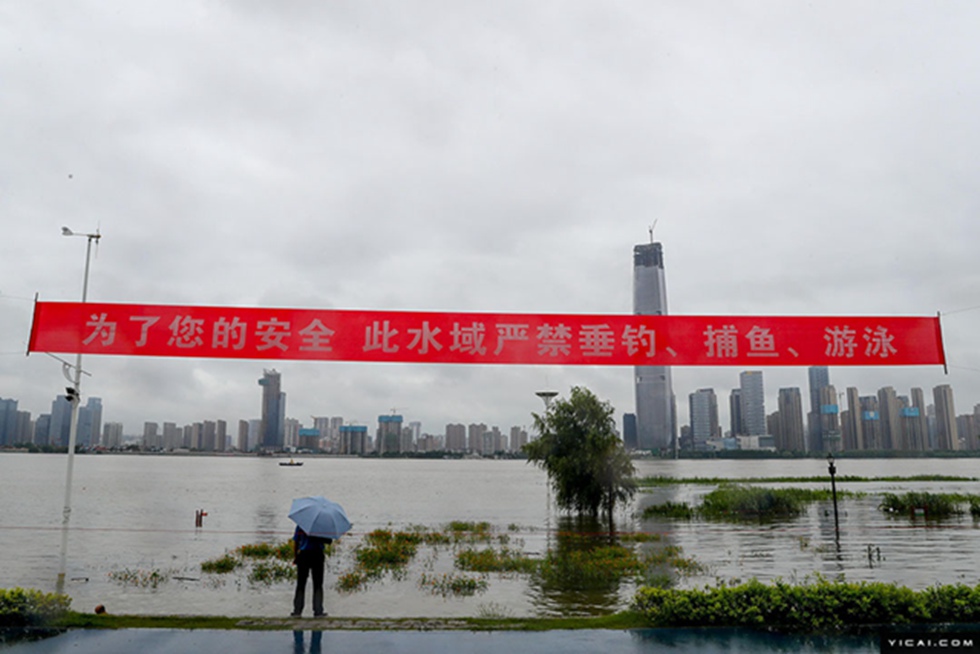 湖北省で過去最多の降水量　直接的な経済損失は約815億円に