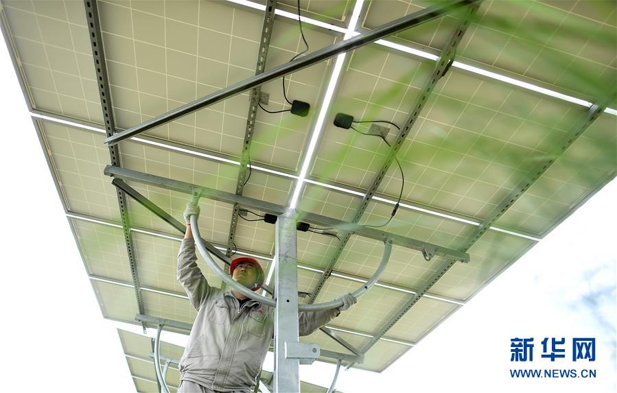 青海省のクリーンエネルギー外部送電量、上半期に100億kWhを突破