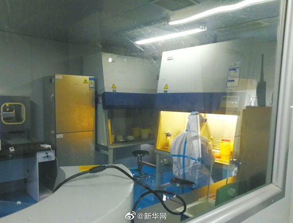 これもいわゆる飯テロ？未明の海産物へのPCR検査にお腹はペコペコ