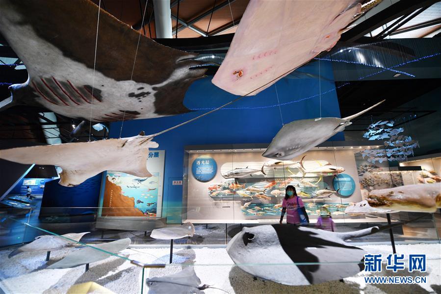 天津市の國(guó)家海洋博物館が來館者の受け入れを再開