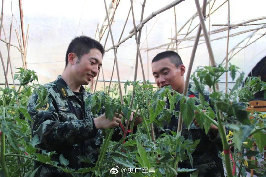 標(biāo)高3080メートルの高地で野菜を栽培する兵士たち　青海省