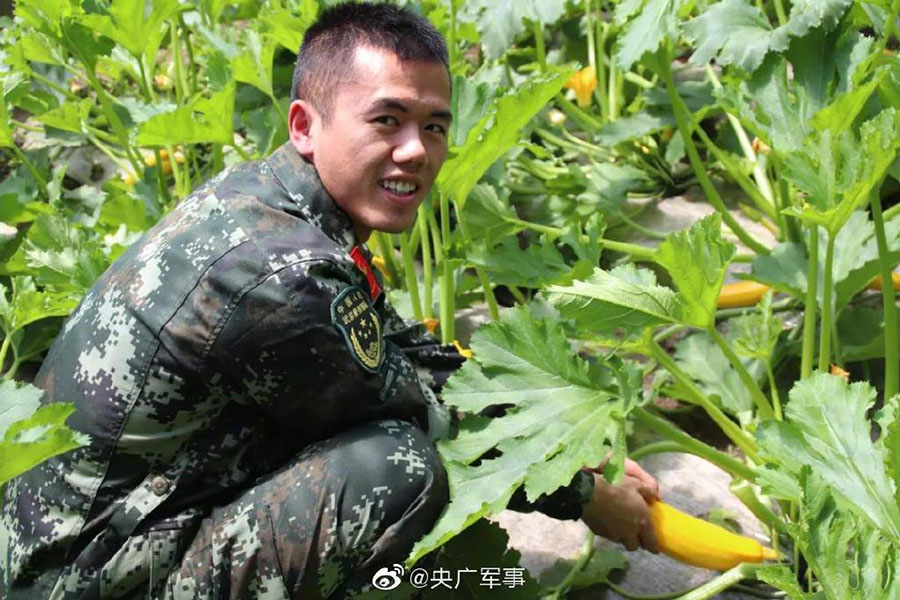 標(biāo)高3080メートルの高地で野菜を栽培する兵士たち　青海省