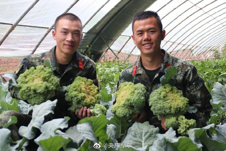 標高3080メートルの高地で野菜を栽培する兵士たち　青海省