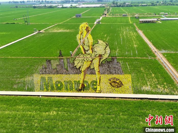 農民に年間約7700萬円の収入をもたらす「稲夢空間」　遼寧省瀋陽