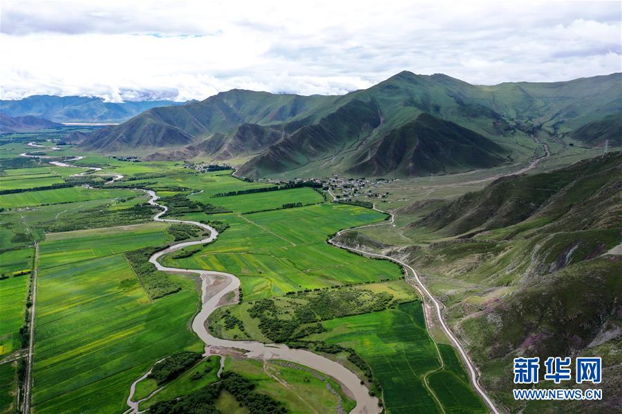 西蔵林周の美しい夏景色