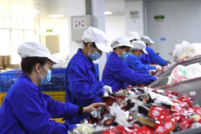 広西柳州産タニシ麺、上半期輸出額は昨年全年の8倍