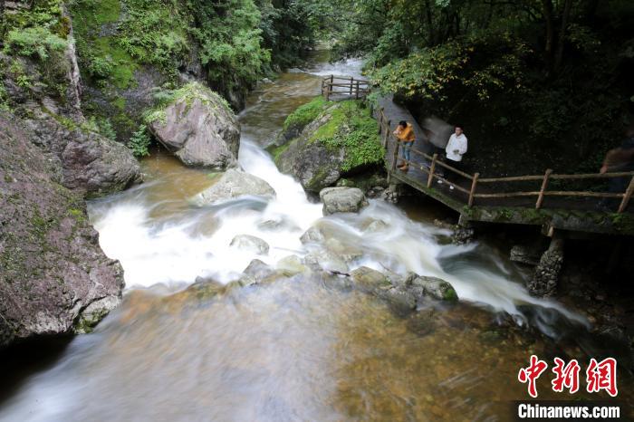 緑と水に恵まれた野生動物たちの楽園　陝西牛背梁自然保護(hù)區(qū)