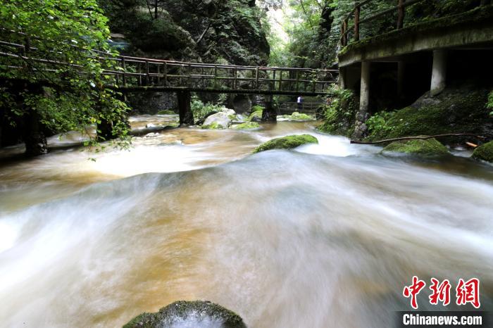 緑と水に恵まれた野生動物たちの楽園　陝西牛背梁自然保護(hù)區(qū)