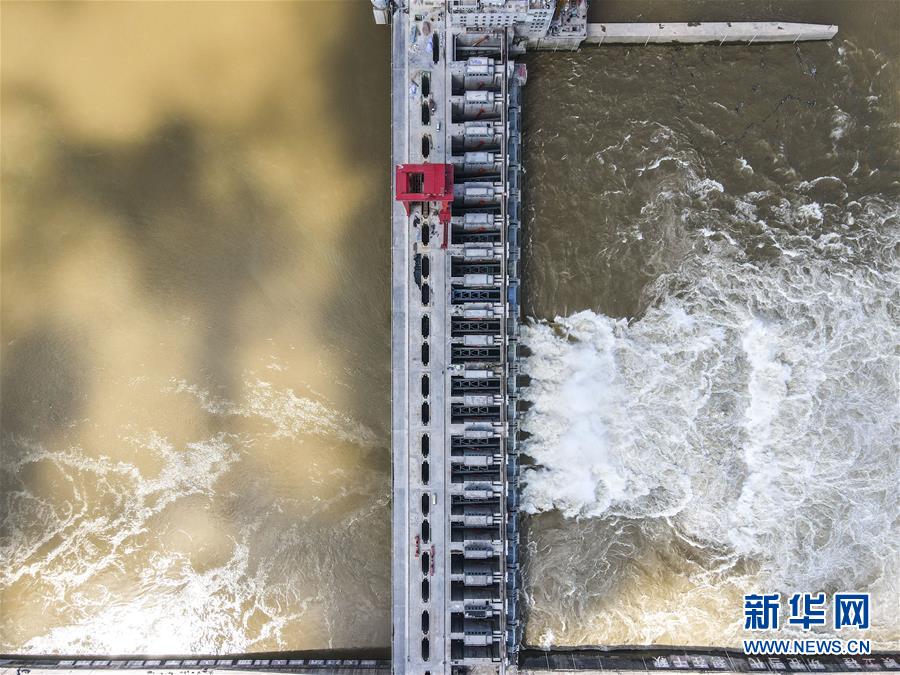 広西大藤峽水利ターミナルプロジェクトの建設(shè)、順調(diào)に進展