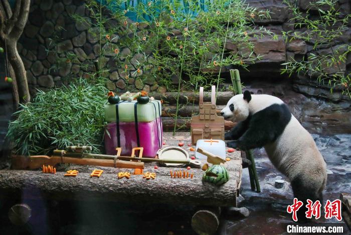 パンダの「二喜」10歳の誕生日プレゼントはこの必勝アイテム！