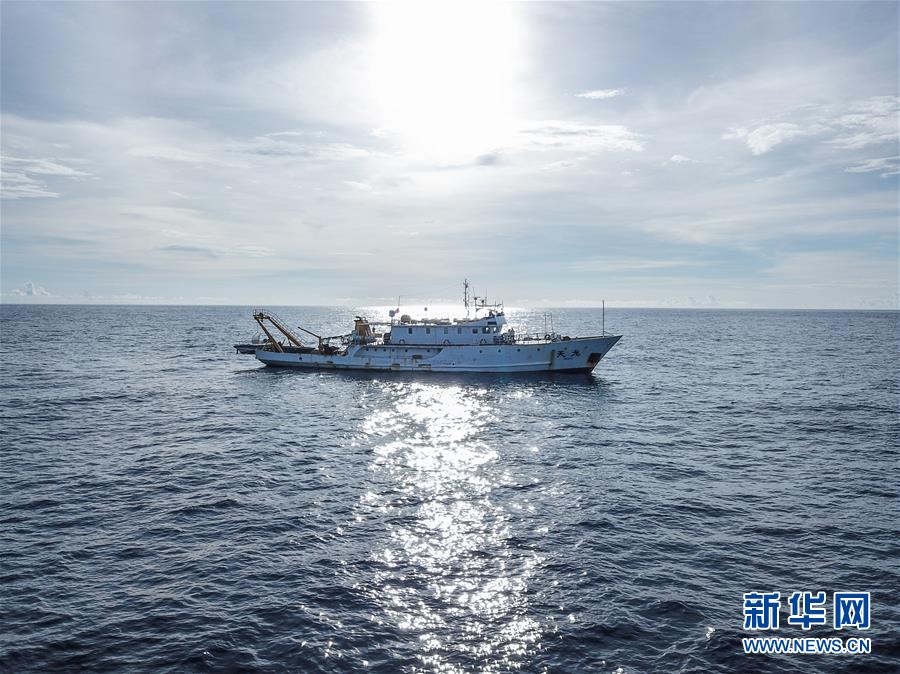 中國の科學(xué)研究者、南中國海でマッコウクジラなどを調(diào)査