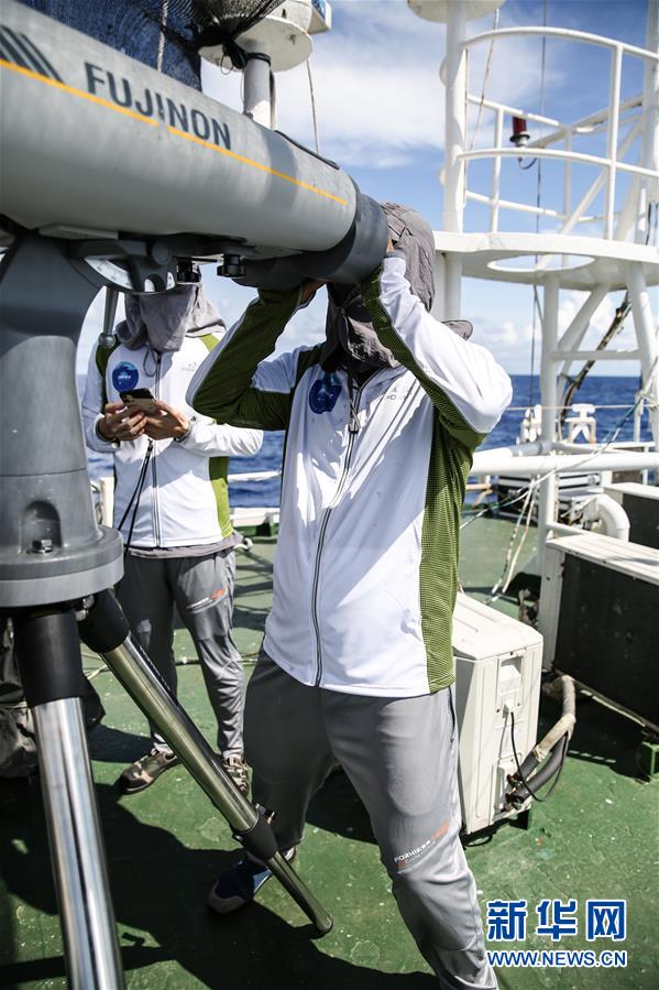 中國の科學研究者、南中國海でマッコウクジラなどを調査