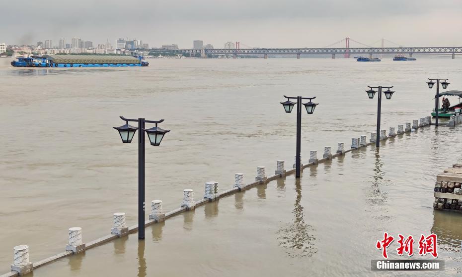 長(zhǎng)江武漢區(qū)間の河川流量が三峽ダム完成後最大に