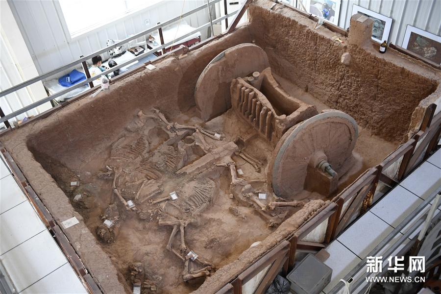 2800年前の青銅フレームの車輪が取り付けられた馬車を復(fù)元　陝西省