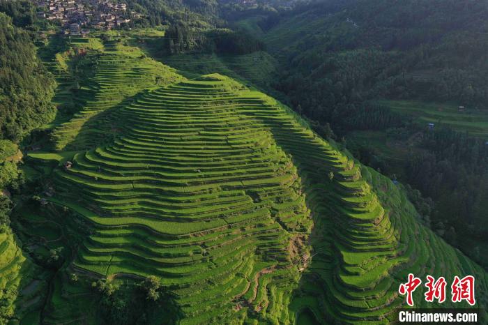 緑と曲線(xiàn)が美しい！山肌に広がる貴州省従江の棚田