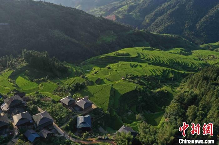 緑と曲線が美しい！山肌に広がる貴州省従江の棚田