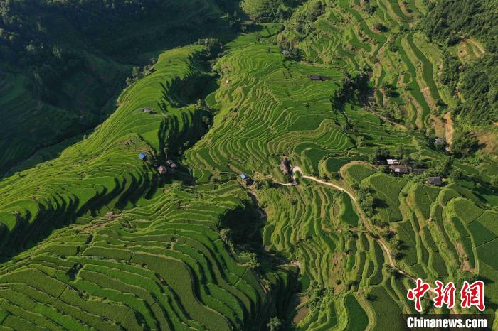 緑と曲線が美しい！山肌に広がる貴州省従江の棚田