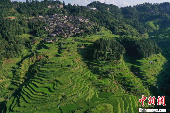 緑と曲線が美しい！山肌に広がる貴州省従江の棚田