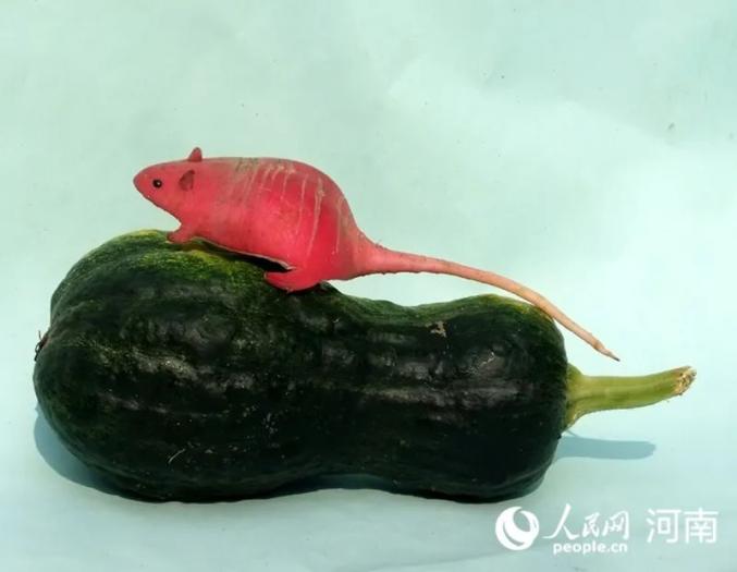 野菜で作ったアニマルワールド！　河南省