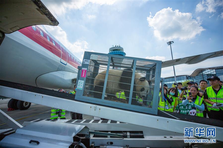 ジャイアントパンダ2頭が飛行機に乗ってお引越し！江蘇省揚州