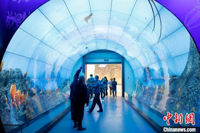 雲(yún)南省、アジアで唯一の化石類世界遺産を畫期的技術(shù)で展示