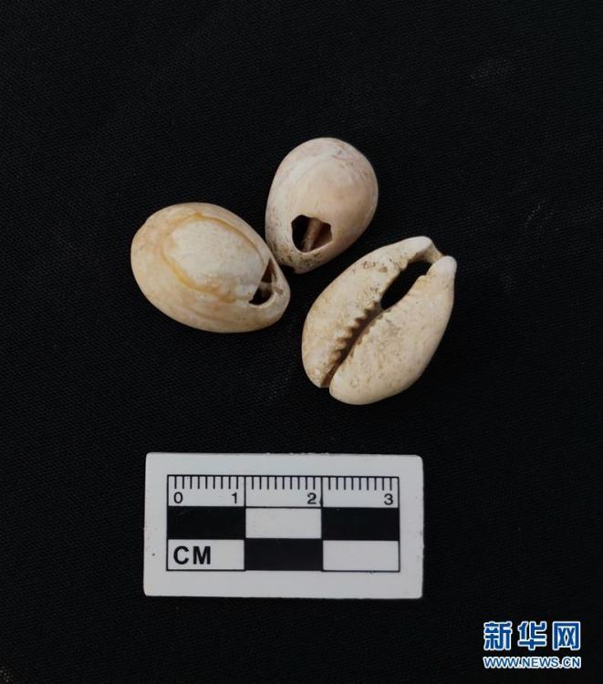 春秋戦國時代の古墳群見つかる　雲(yún)南麗江