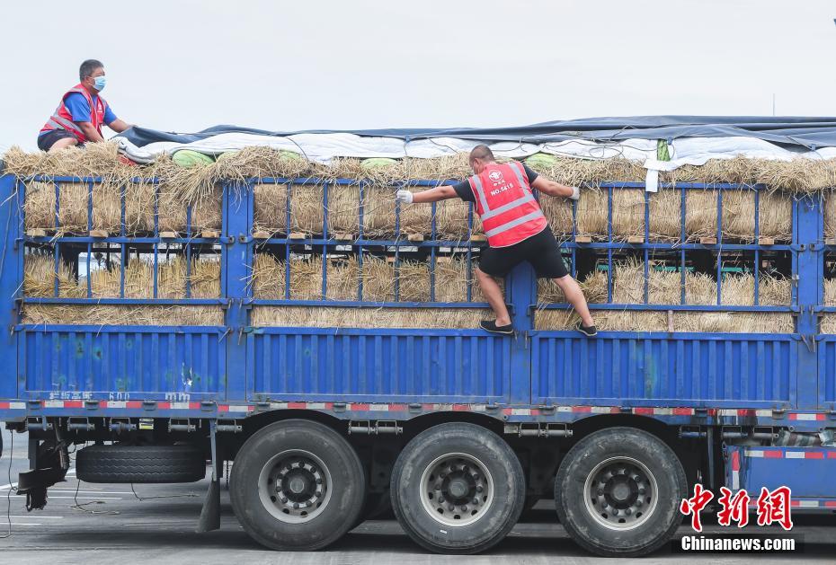営業(yè)を再開した北京新発地市場