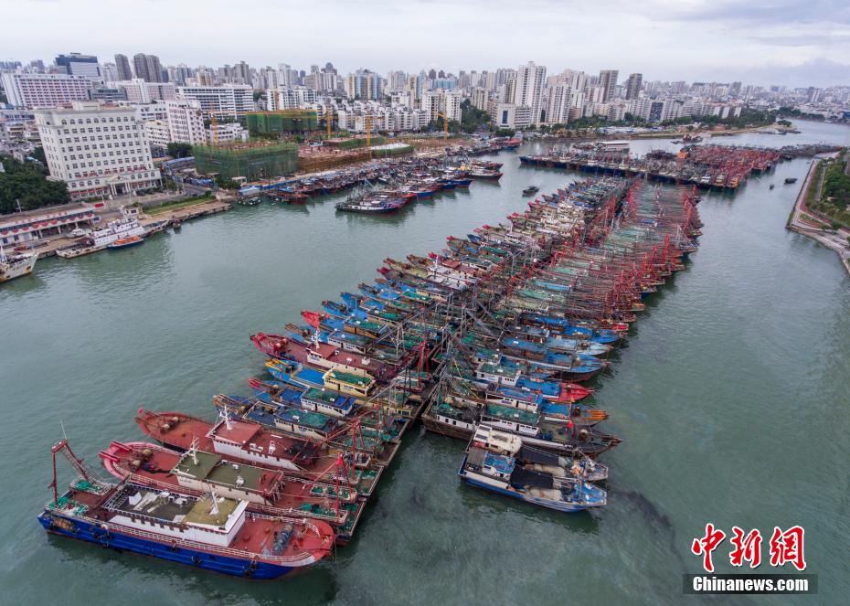 臺風(fēng)7號「ヒーゴス」の影響で瓊州海峽のフェリー全線欠航　海南省