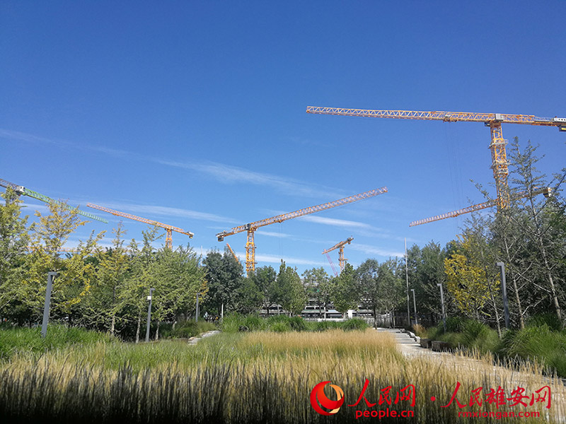 雄安新區(qū)に広がった素晴らしい青空　河北省