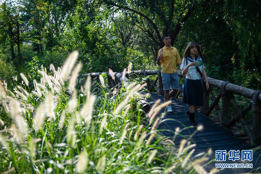 市民の身近に緑地公園を　北京市