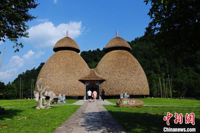 まるで2本の巨大な樹木のような「茅葺きトイレ」の外観（撮影?熊宗喜）。