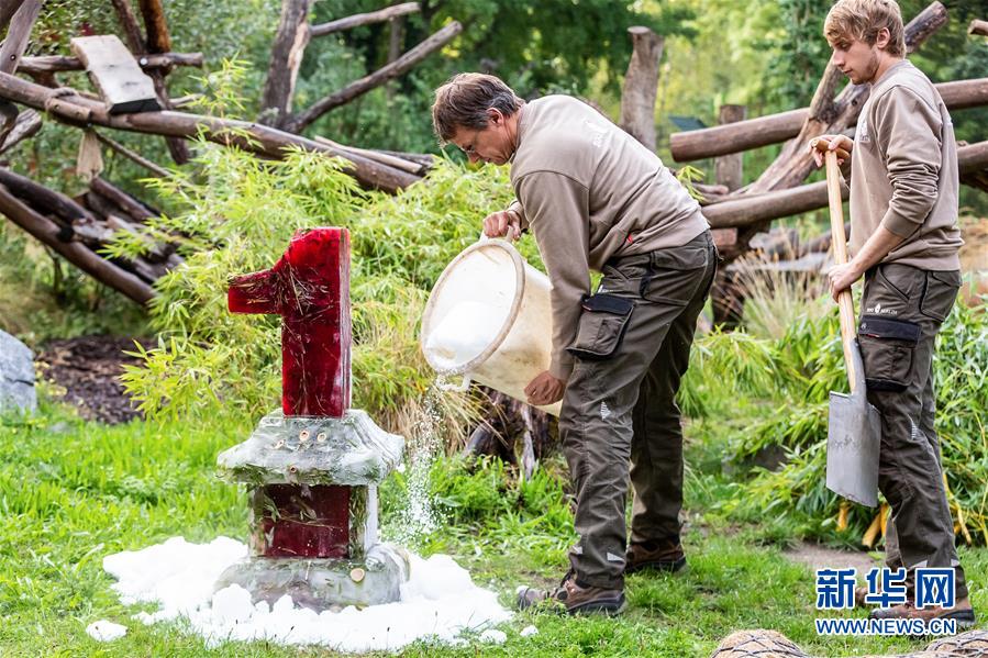 獨(dú)ベルリン動(dòng)物園の雙子パンダが1歳に！