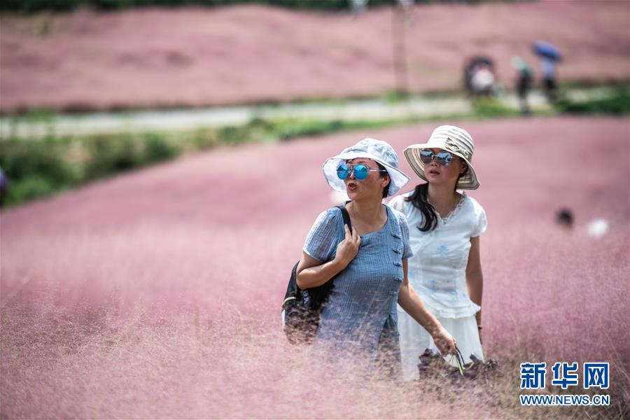 観光客たちを魅了する貴州省に広がる「桃色の?！?></td></tr><tr><td class=