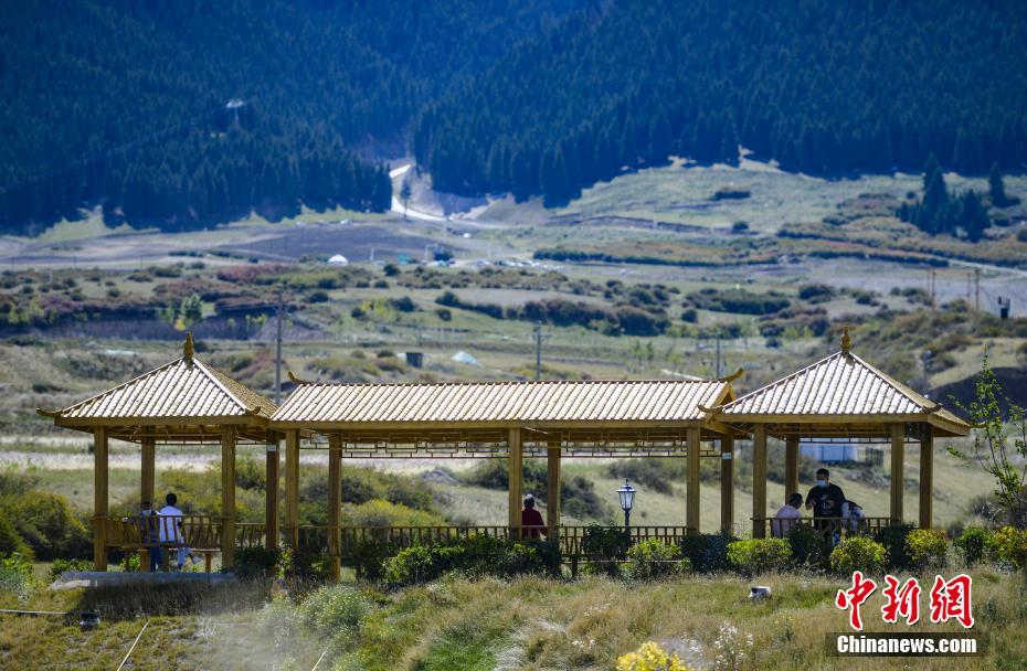 新疆で屋外景勝地が全面開放　郊外で花畑を楽しむ観光客