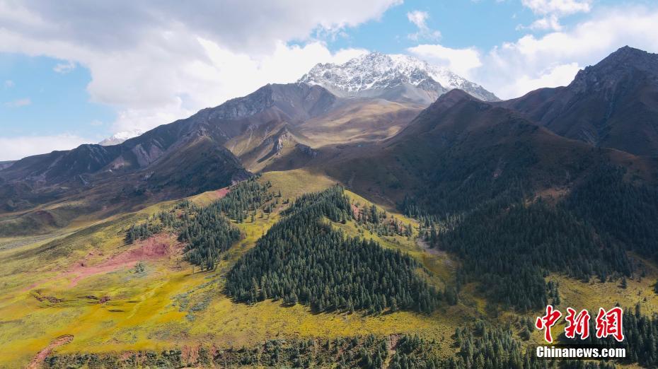 秋の祁連山、鮮やかな彩りの絶景広がる