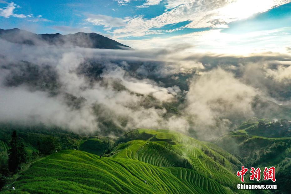 雲(yún)霧たなびく棚田とヤオ族の村落　広西?竜勝
