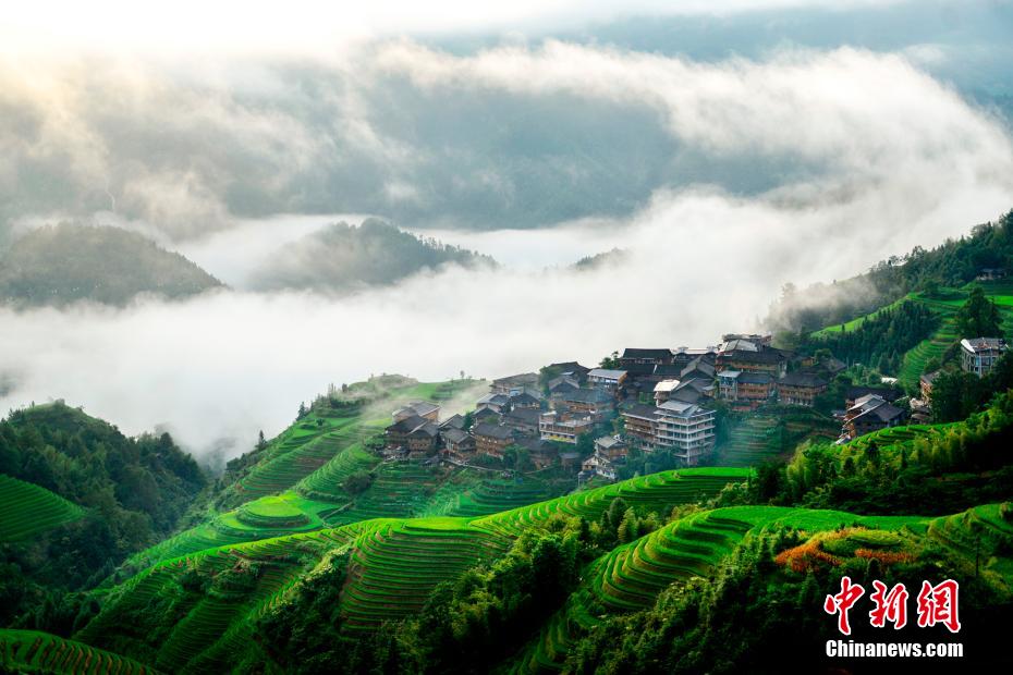 雲(yún)霧たなびく棚田とヤオ族の村落　広西?竜勝