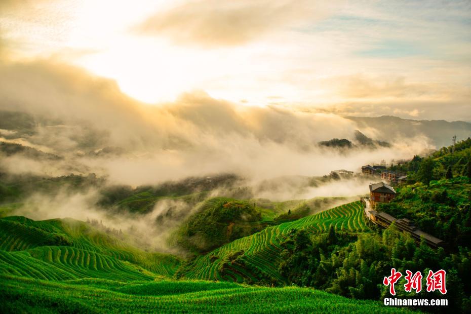 雲(yún)霧たなびく棚田とヤオ族の村落　広西?竜勝