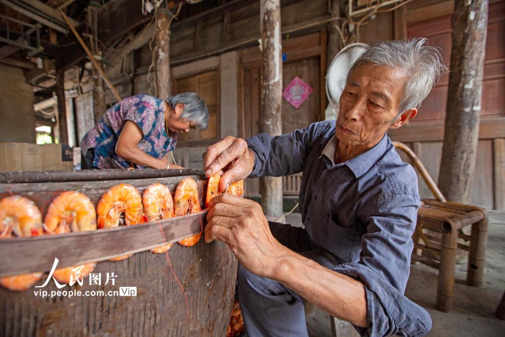 9月12日、エビを甕のまわりに括り付ける漁民の張永壽さん（撮影?章勇濤/寫真著作権は人民図片が所有のため転載禁止）。
